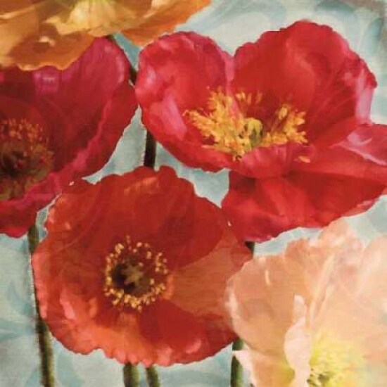 Incandescence I Poster Print by Janel Pahl - Item # VARPDXPLP121