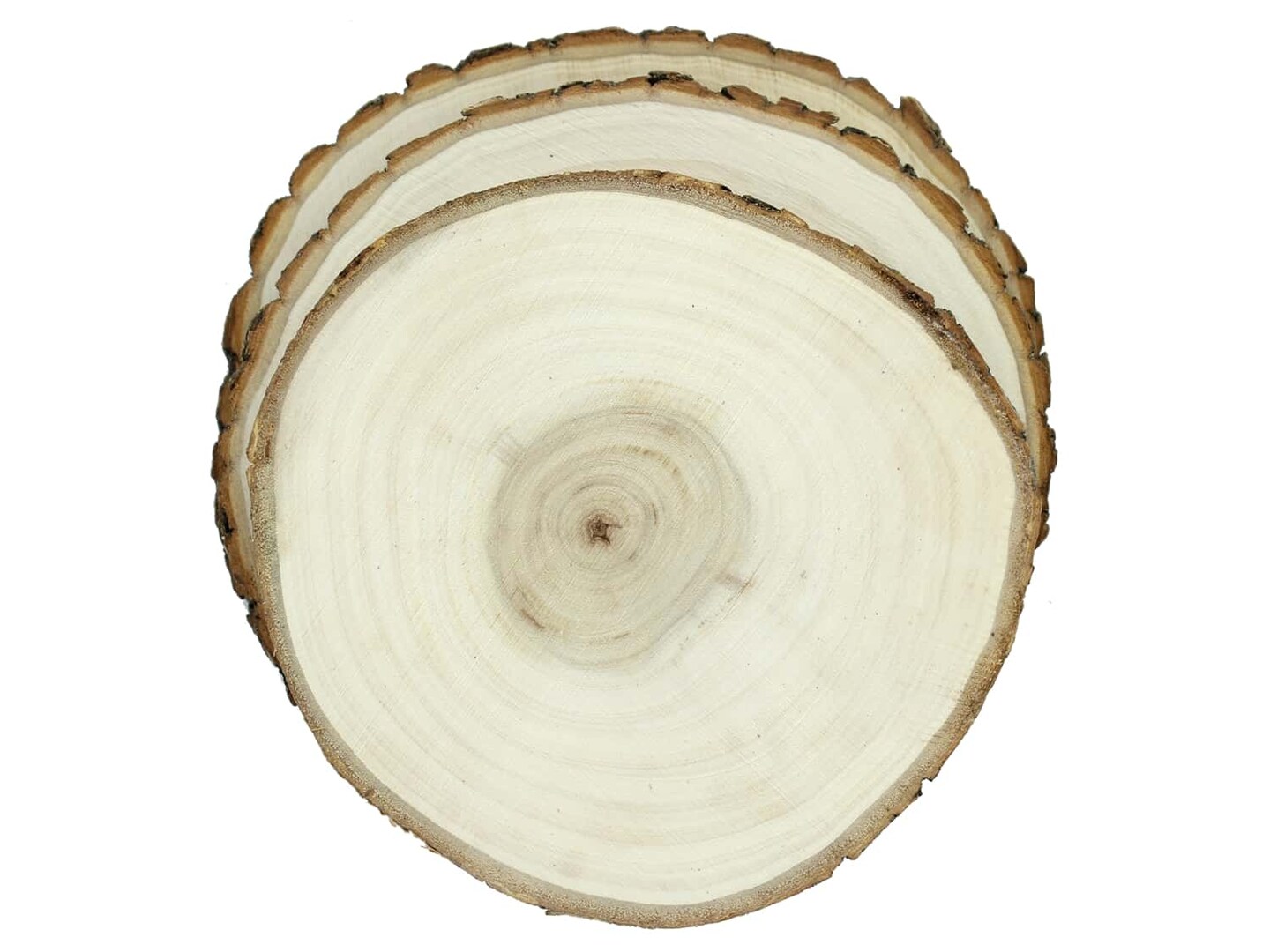 Sierra Pacific Crafts Wood Slice Round 7.5 in. Natural