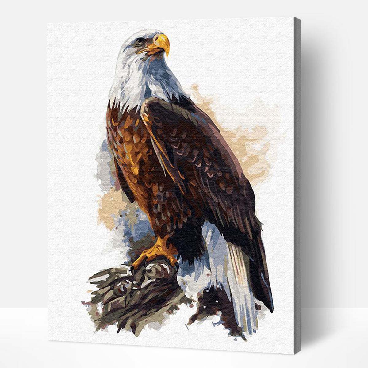 Adbrain Bald Eagle PaintbyNumber Kit Michaels