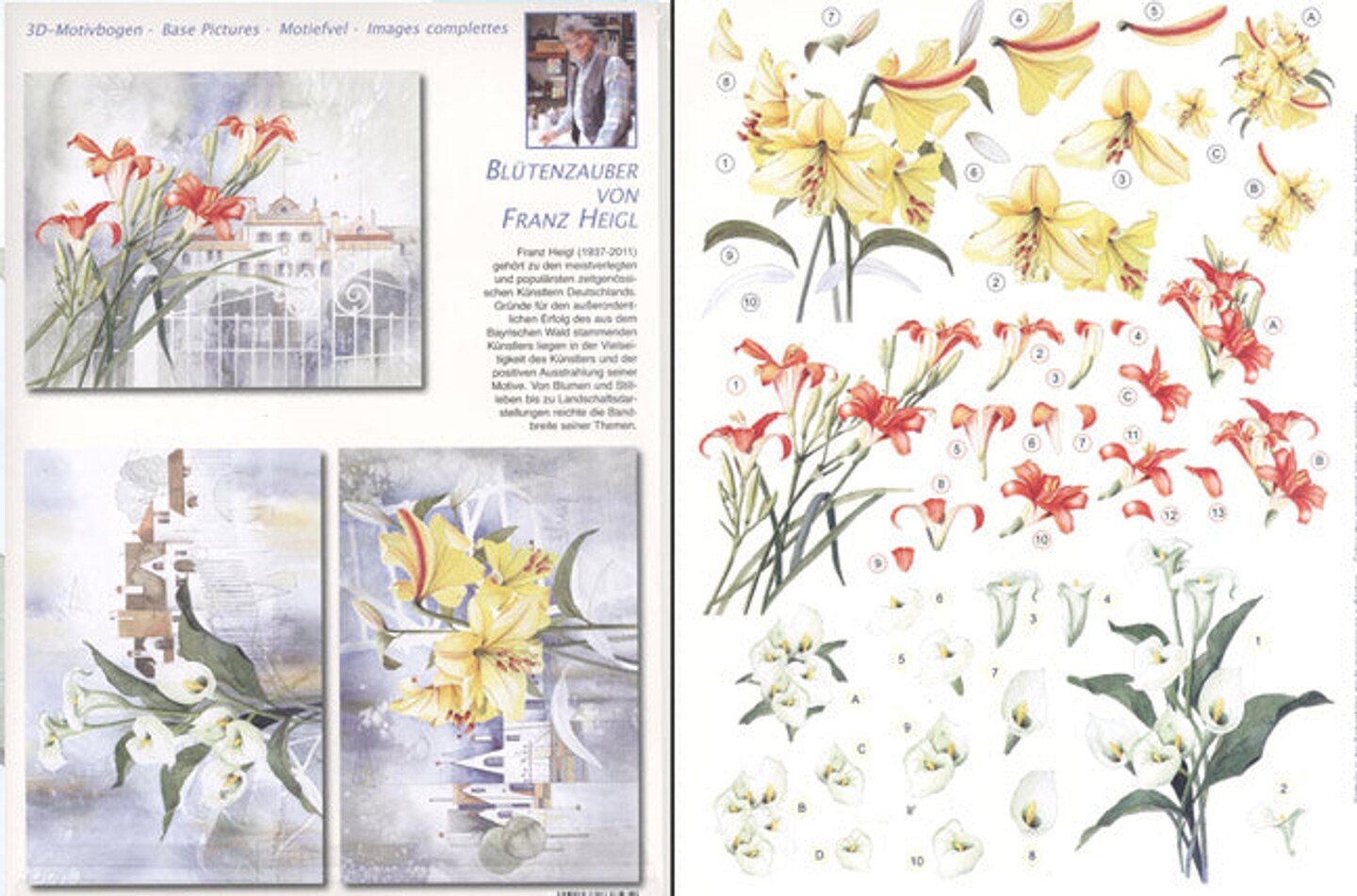 Reddy Creative Cards 3D Precut (2 sheets)Franz Heigl Callas, Lilies