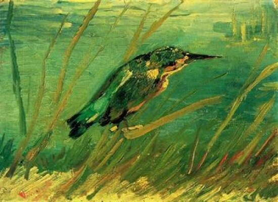 Kingfisher Poster Print by Vincent Van Gogh - Item # VARPDX374494