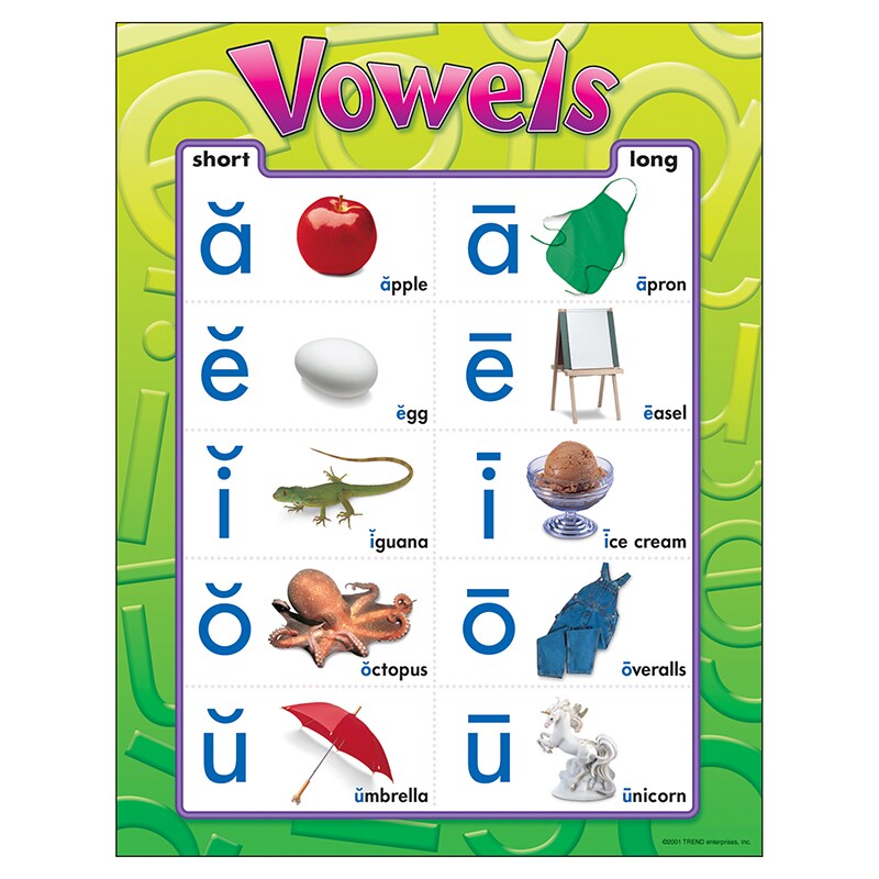 Vowels Learning Chart, 17&#x22; x 22&#x22;