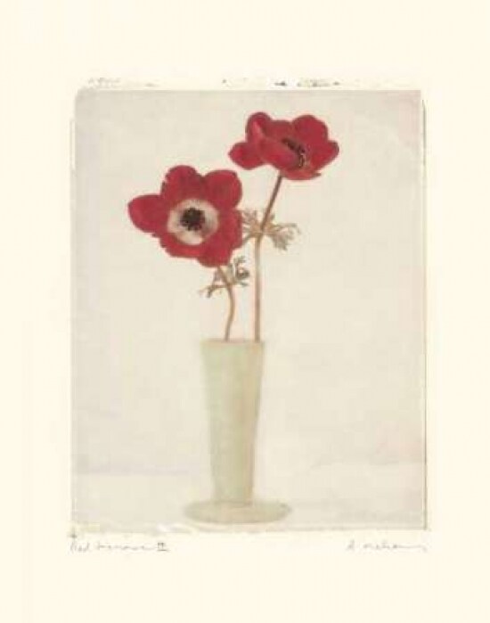 Red Anemones II Poster Print by Amy Melious - Item # VARPDXMEL197