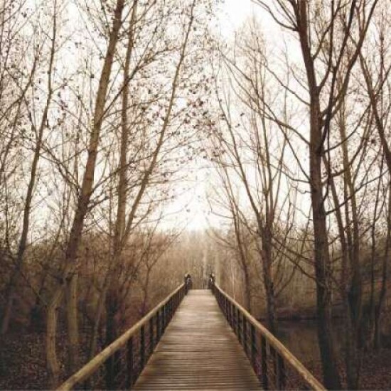 Right Here Poster Print by Jorge Llovet - Item # VARPDXLJP307