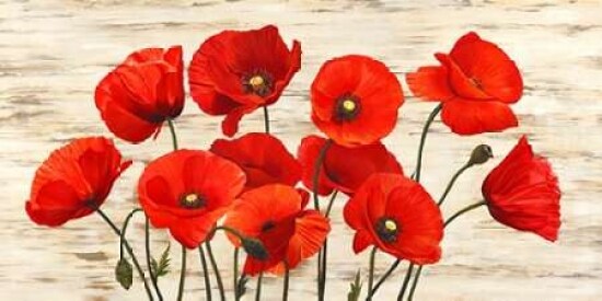 French Poppies Poster Print by Serena Biffi - Item # VARPDX2SE809