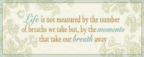 Life is not measured... Poster Print by Pela - Item # VARPDX2095