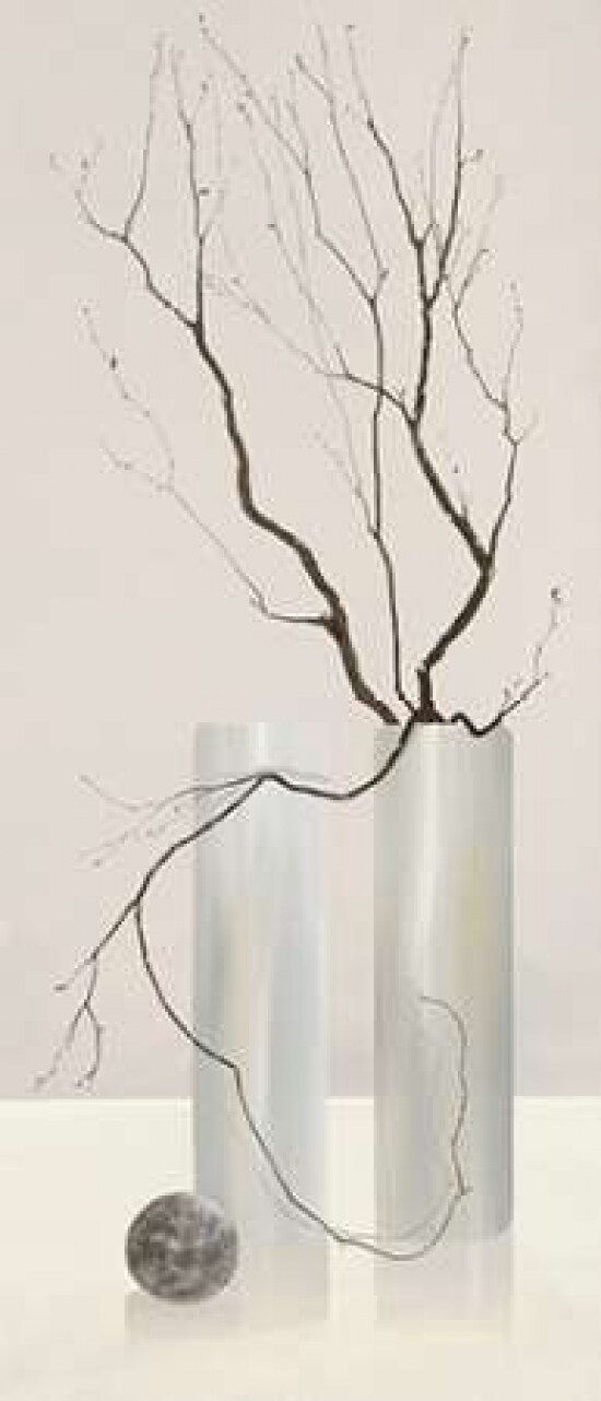 Slender Twigs II Poster Print by Alice Wonder - Item # VARPDX63029