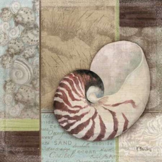 Santa Rosa Shell II Poster Print by Paul Brent - Item # VARPDXBNT343