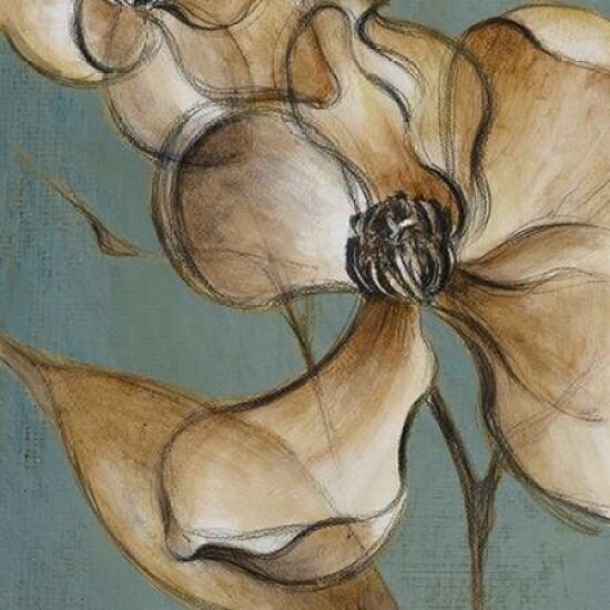 Translucent Magnolias Poster Print by Lanie Loreth - Item # VARPDX6217B