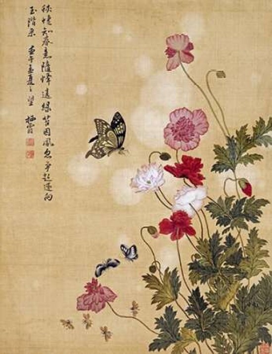 Corn Poppy and Butterflies Poster Print by  Ma Yuanyu - Item # VARPDX267607