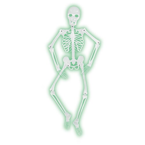 Mr Bones-A-Glo Skeleton