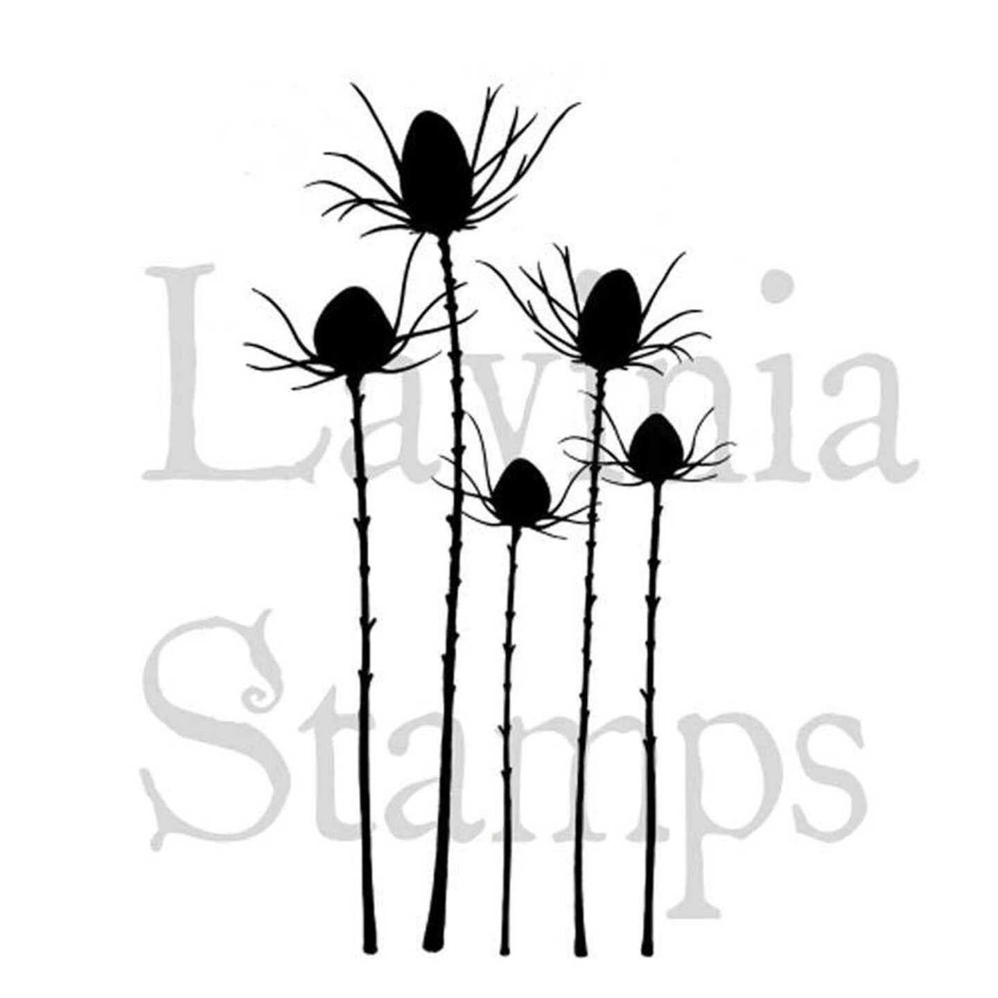 Lavinia Stamps  - Silhouette Thistle