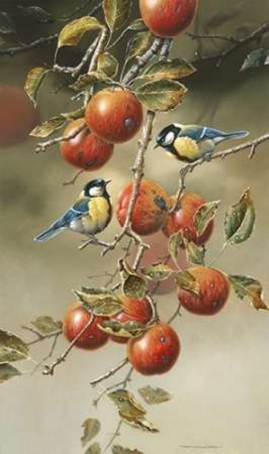 Two birds in appletree Poster Print by Jan Weenink - Item # VARPDXJW2005045