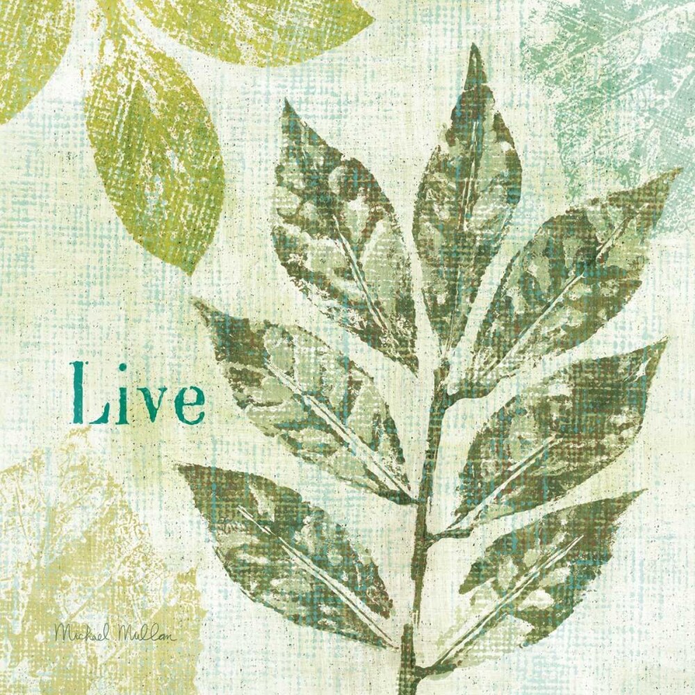 Natures Impressions I Poster Print by Michael Mullan - Item # VARPDX11793