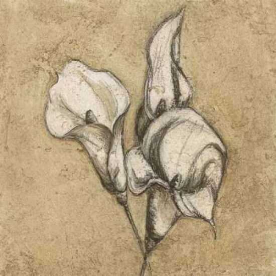 Calla Lily III Poster Print by Kristin Emery - Item # VARPDXKESQ001B