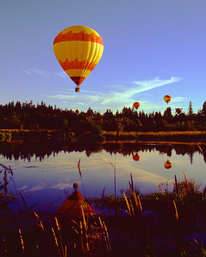 Hot Air Balloons Poster Print by Ike Leahy - Item # VARPDXPSLHY322