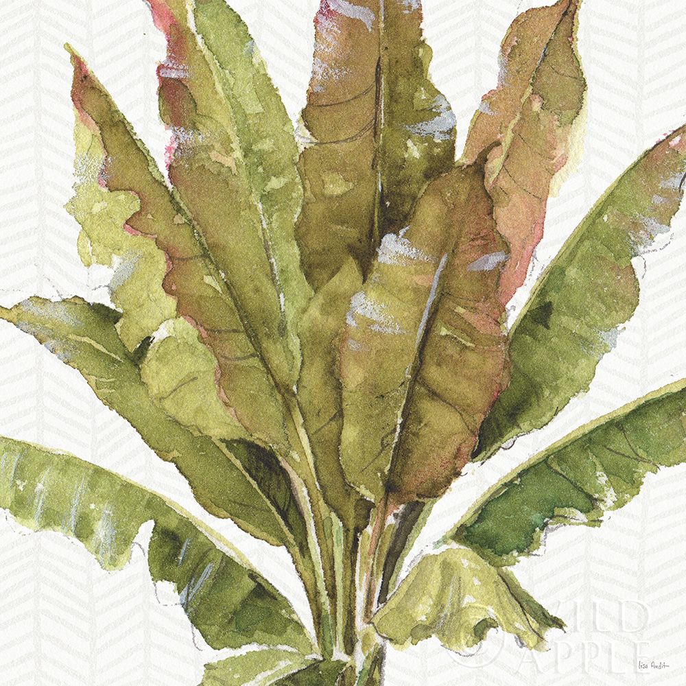 Mixed Greens VII Poster Print by Lisa Audit - Item # VARPDX36465