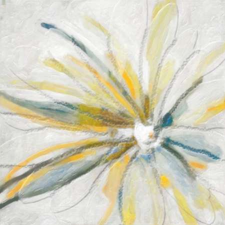 Contempo Daisy Poster Print by Taylor Greene - Item # VARPDXTGSQ370A