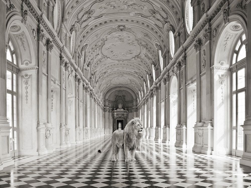 Luxurious Wilderness IV Poster Print by Julian Lauren # 3AP5181