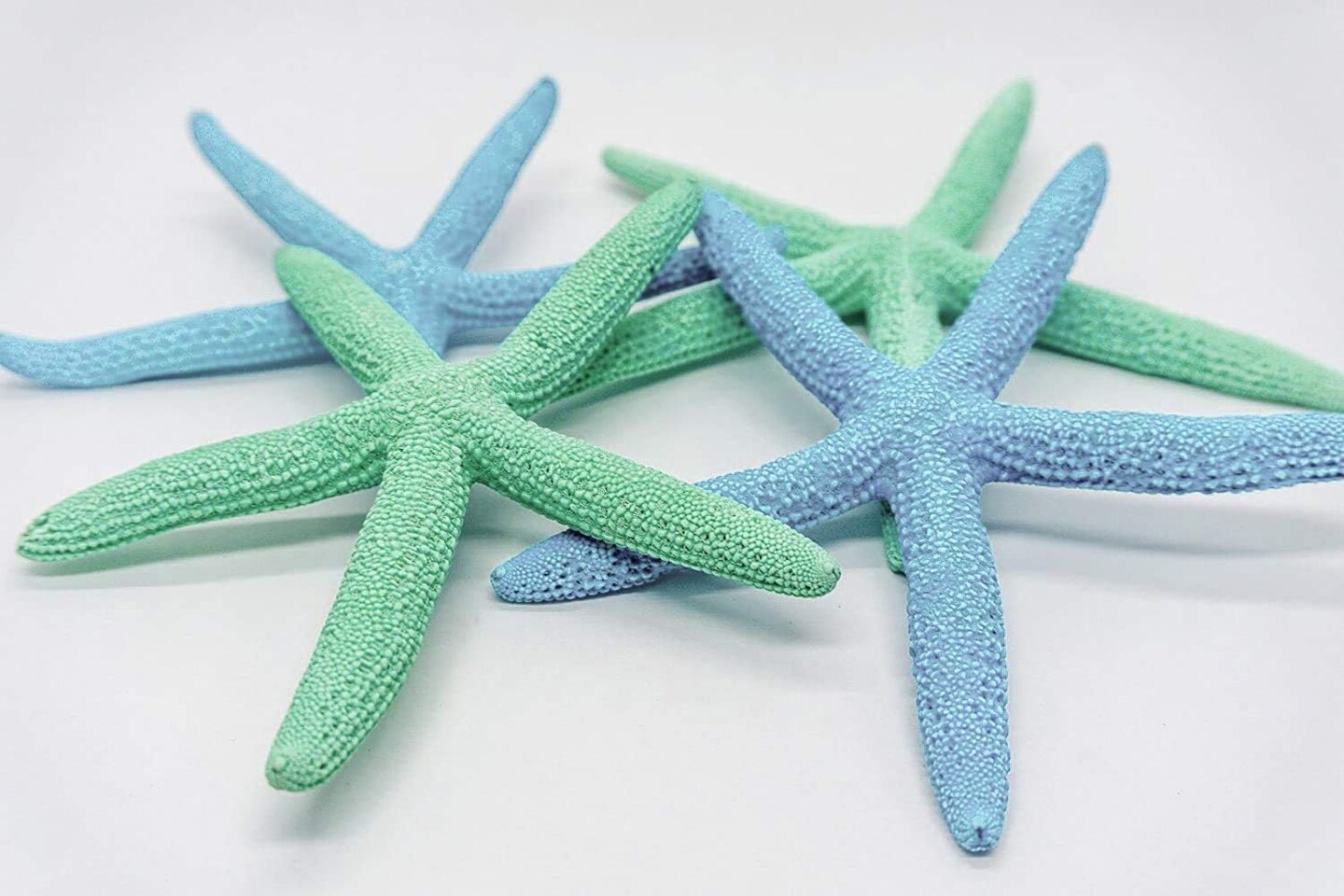 Starfish 10 Pack Green Blue & White Assorted Star Fish 2-4 Inch Starfish  for Crafts and Decor - Nautical Crush Trading