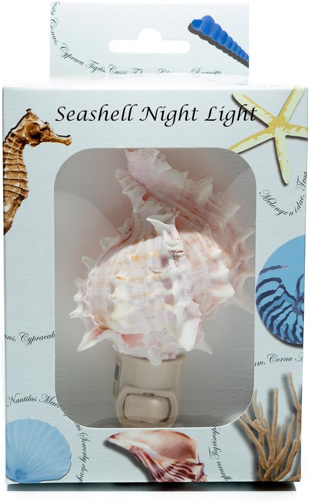 Sea Shell Night Light Pink Murex Shell Nautical Night Light Home D&#xE9;cor