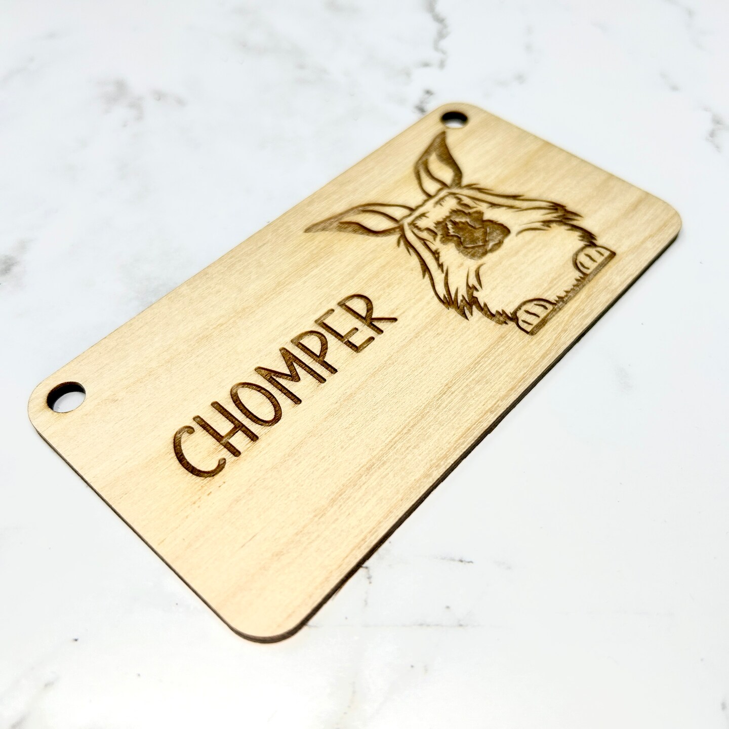 Lionhead Rabbit, Bunny Name Tag, Rabbit Name Tag, Bunny Accessories for ...