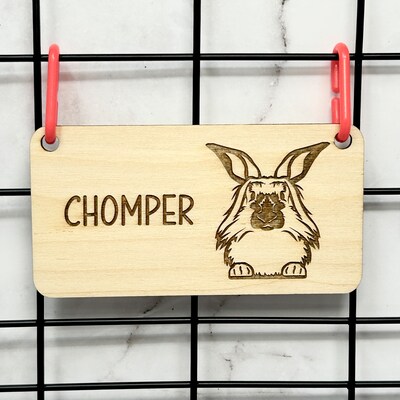 Lionhead Rabbit, Bunny Name Tag, Rabbit Name Tag, Bunny Accessories for ...