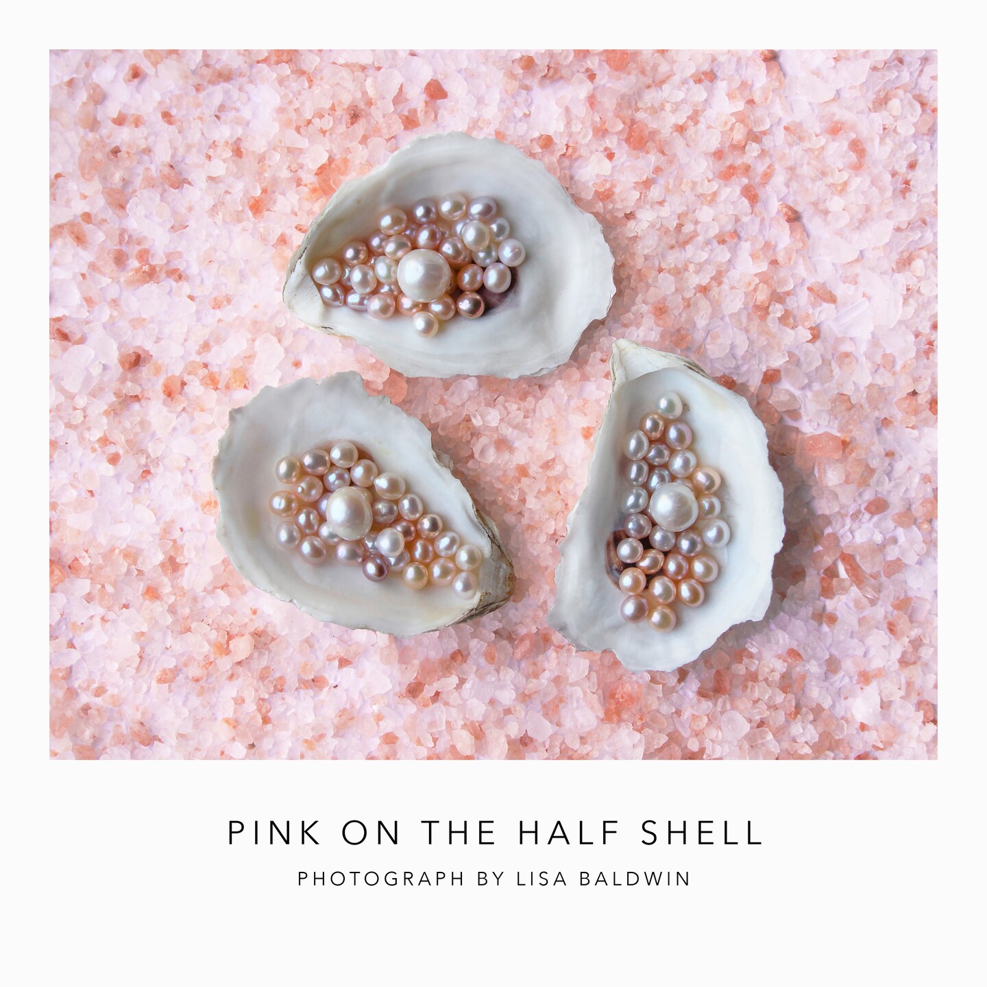 Elegant Oyster Photo - Half Shells on a Bed of Pink Himalayan Salt ...