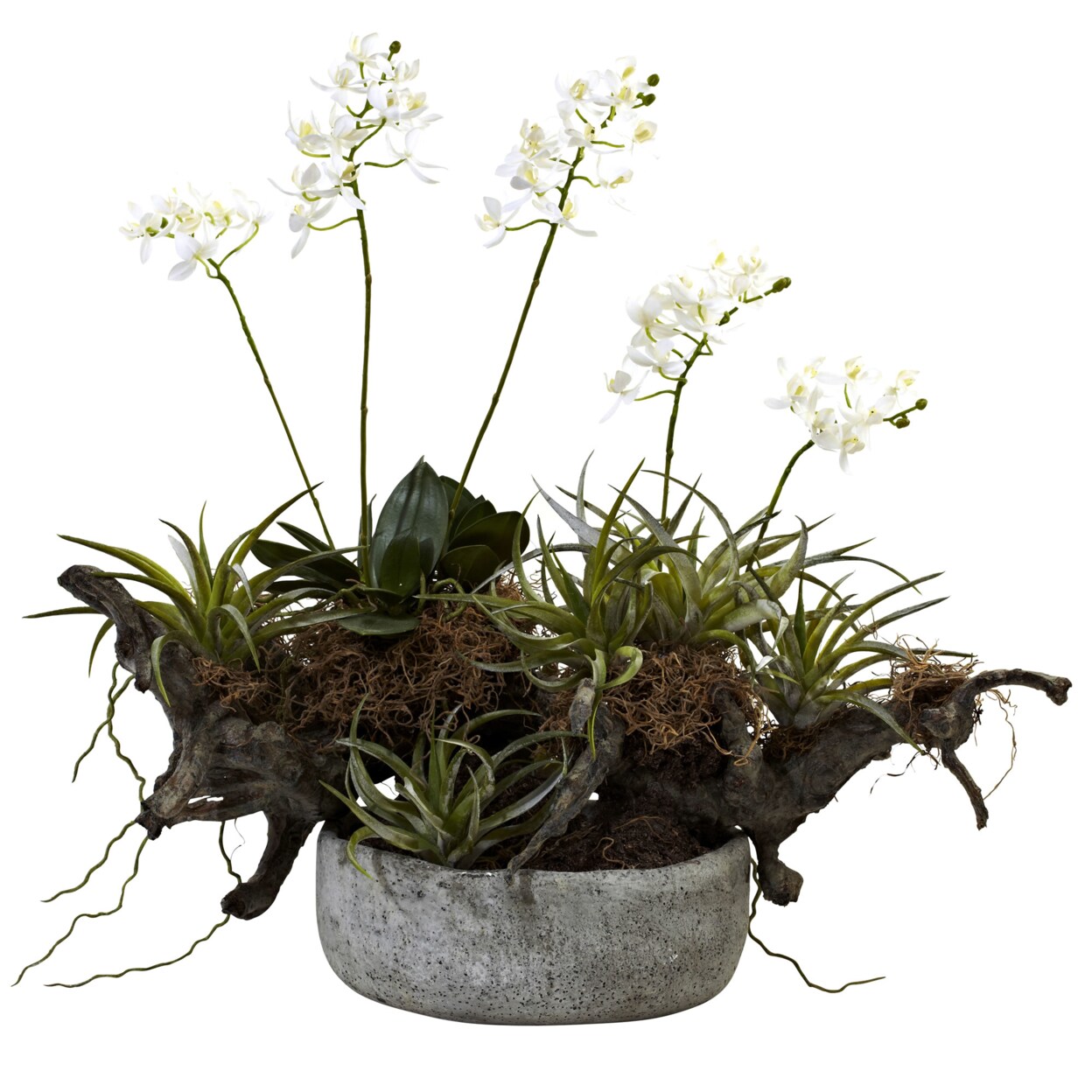 Nearly Natural   Orchid and Succulent Garden with Driftwood and Decorative Vase