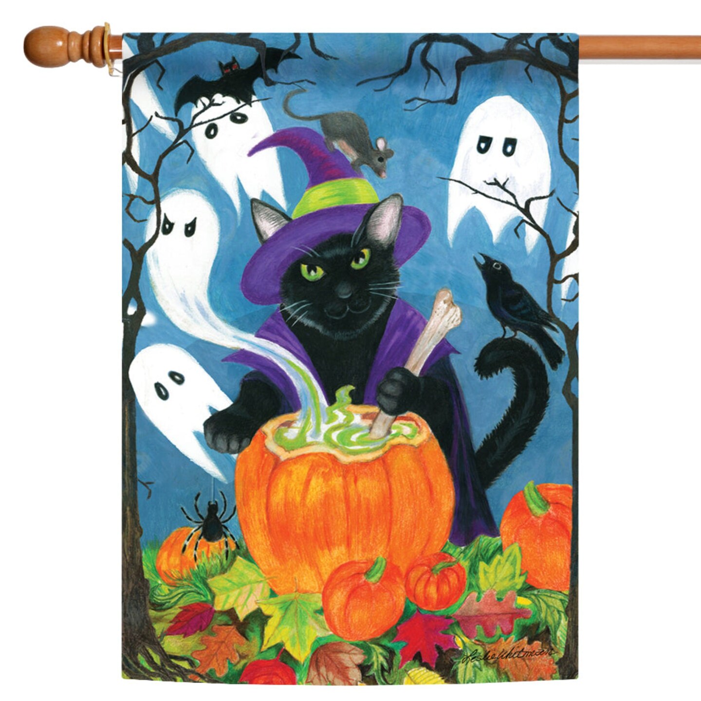 Toland Home Garden Trouble Brewing Witch Cat Halloween Outdoor House Flag 40" x 28"