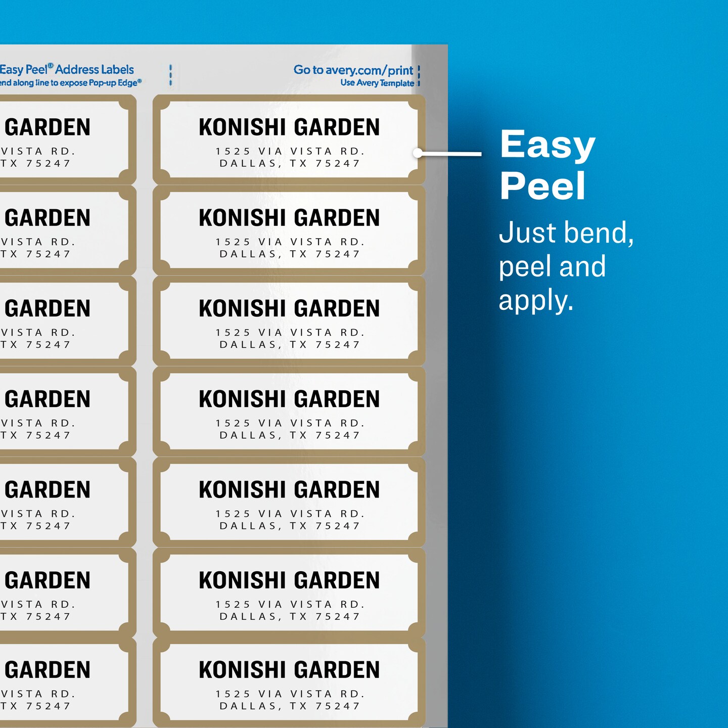 Avery Address Labels with Gold Border for Inkjet Printers, 1&#x22; x 2-5/8&#x22;,  300 Labels (6529)