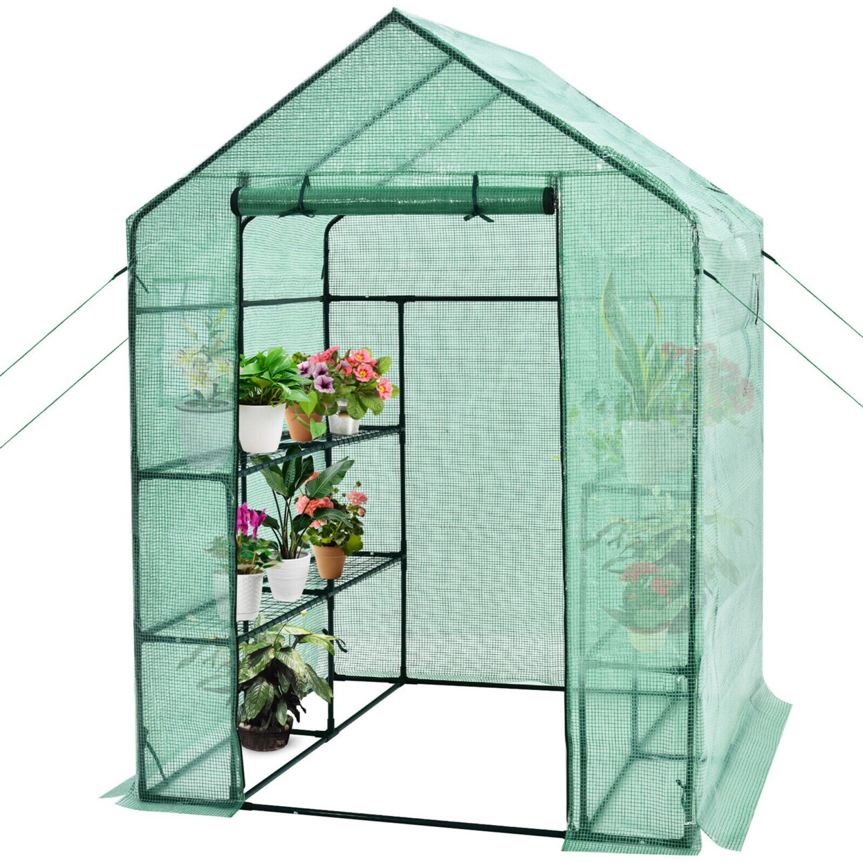 Walk-In Greenhouse 56X56x77 Gardening W/Observation Windows 2 Tier 8 Shelves