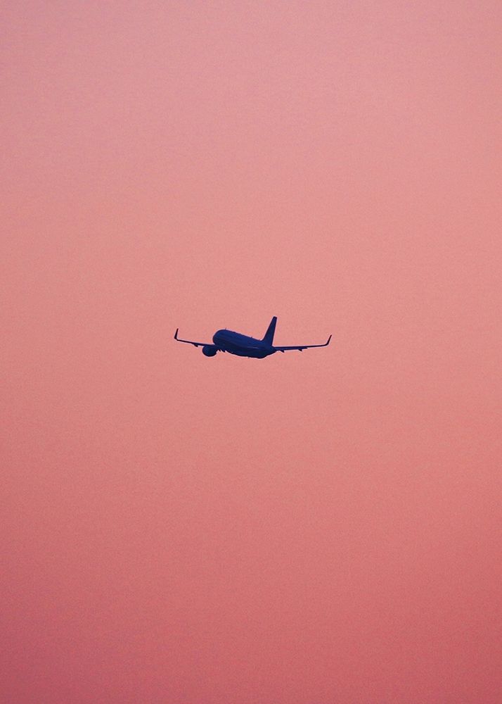 Pink Flight Poster Print by Design Fabrikken Design Fabrikken - Item # VARPDXMF9690955
