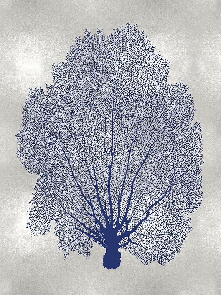 Sea Fan Indigo Blue II Poster Print by Melonie Miller # MMR116764