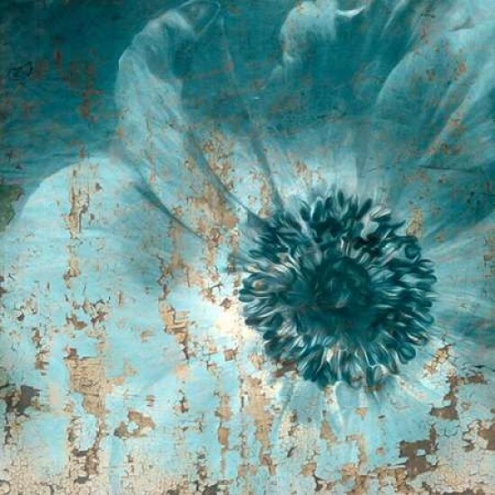 Seaside Bloom Poster Print by Kimberly Allen - Item # VARPDXKASQ046A