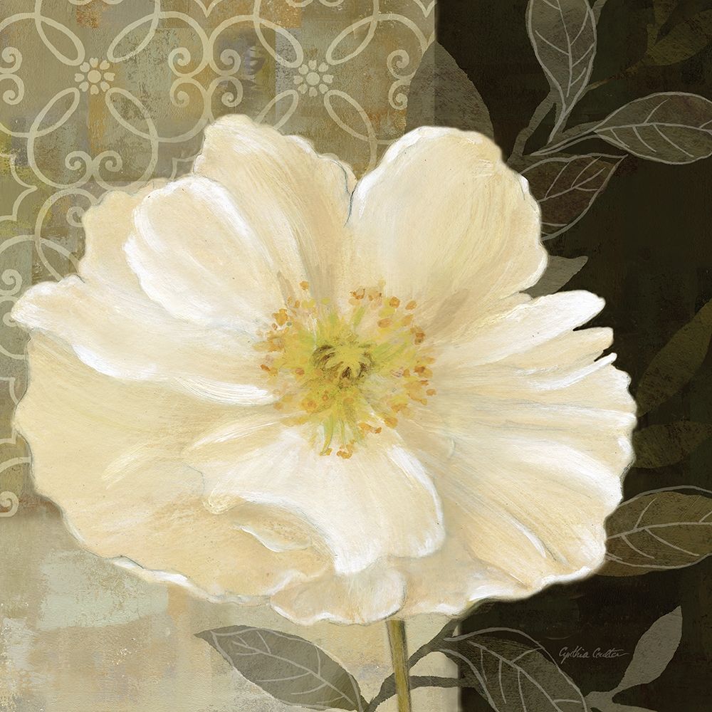 Midnight Poppy Closeup II Poster Print by Cynthia Coulter # RB6275CC