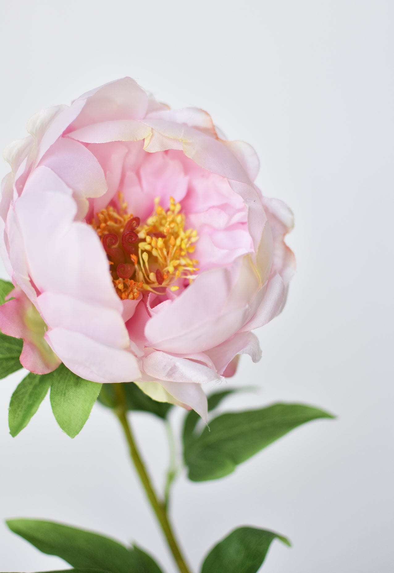 22&#x22; Faux Pink Peony Stem