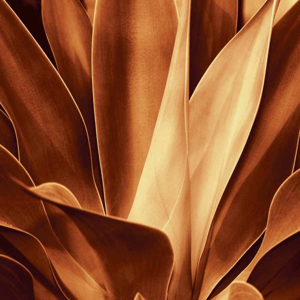 Santa Fe I Poster Print by Caroline Kelly # CKL5886