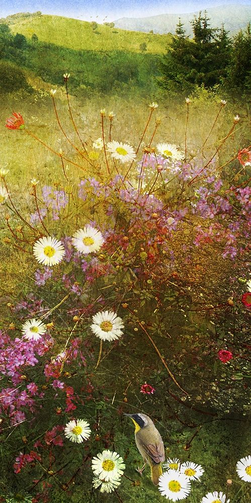 In the Meadow II Poster Print by Chris Vest # CV017A