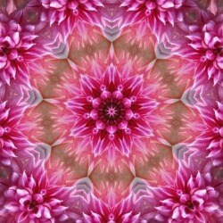 Hippie Hollow | Storefront | Michaels