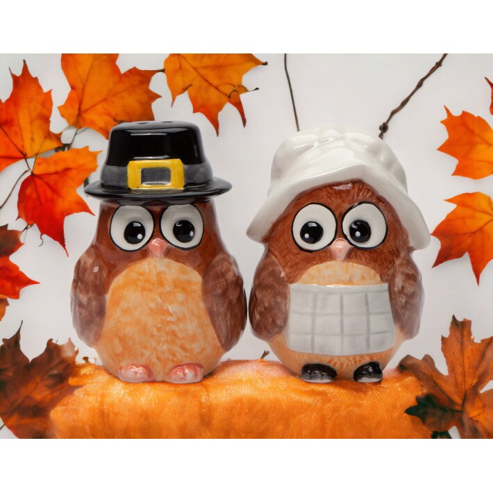 kevinsgiftshoppe Ceramic Pilgrim Owl Salt And Pepper Shakers  Home Decor   Kitchen Decor Fall Decor Thanksgiving Decor