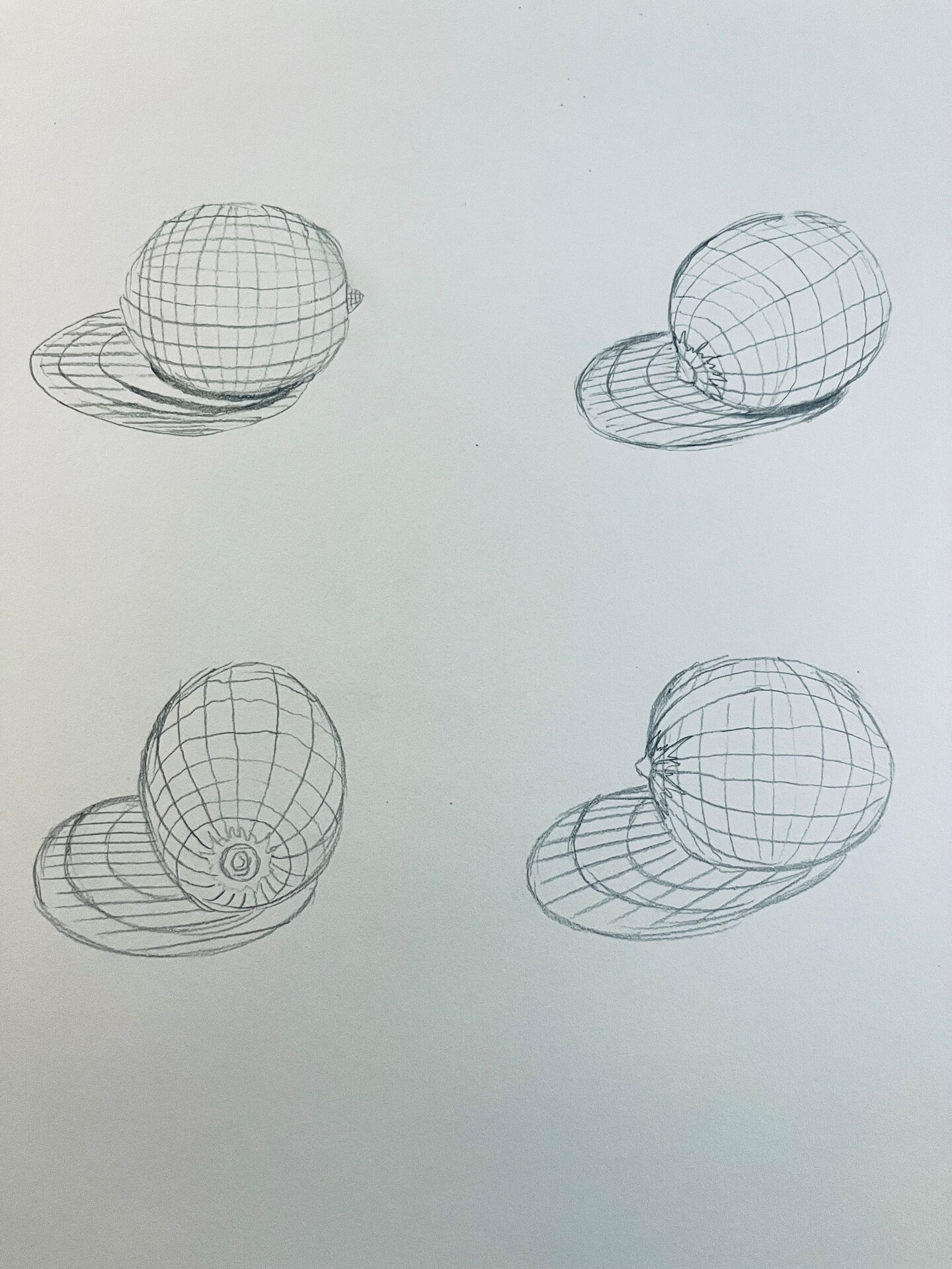 Learn to Draw 3D Forms: Understanding Contour Lines with