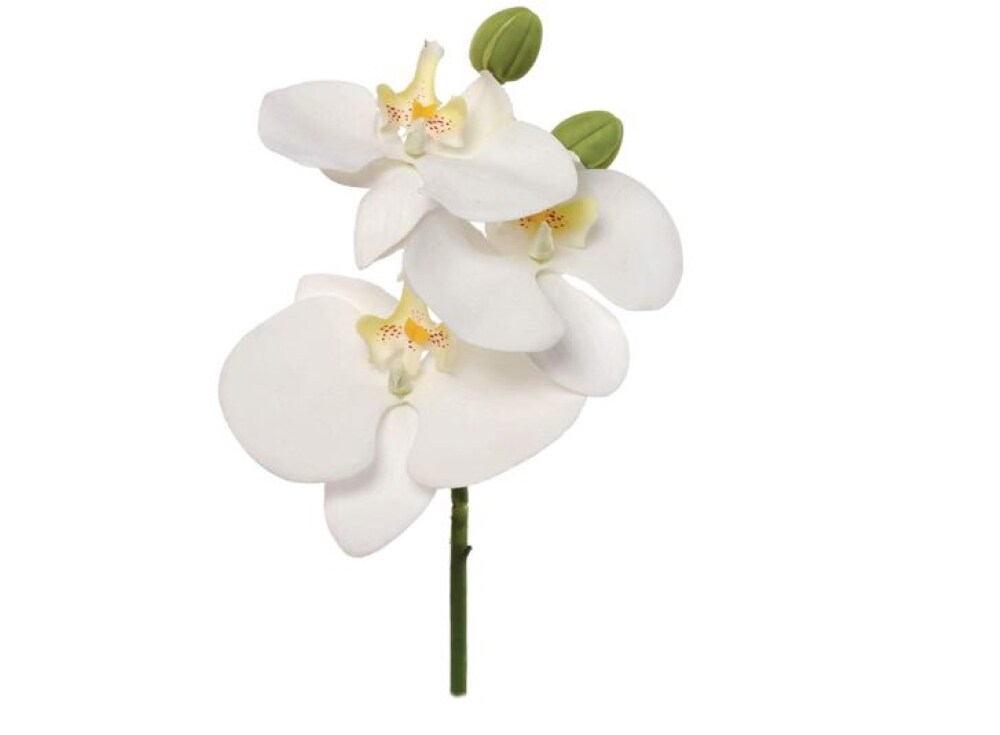 12-Pack: White Phalaenopsis Pick with 3 Silk Flowers by Floral Home&#xAE;