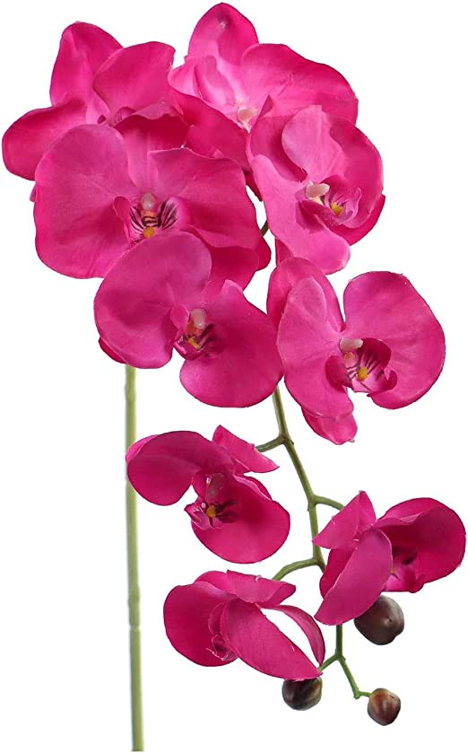 Fuchsia Phalaenopsis Orchid Stem - 12-Pack, 9 Lifelike Flowers Per Stem, Elegant Floral Décor, Perfect for Events & Home - Ideal for All Seasons, Floral Home by Artificial Flowers