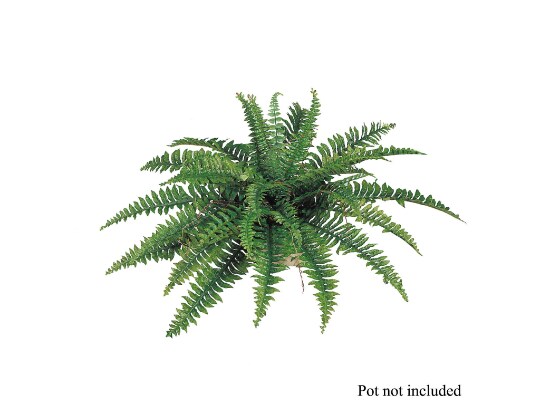 Artificial Boston Fern Plant 35 Fronds - 34&#x22; Diameter, 4-Pack | Lifelike Faux Greenery | Indoor Outdoor Decor | High-Quality &#x26; Easy to Arrange | Floral Home by Artificial Flowers