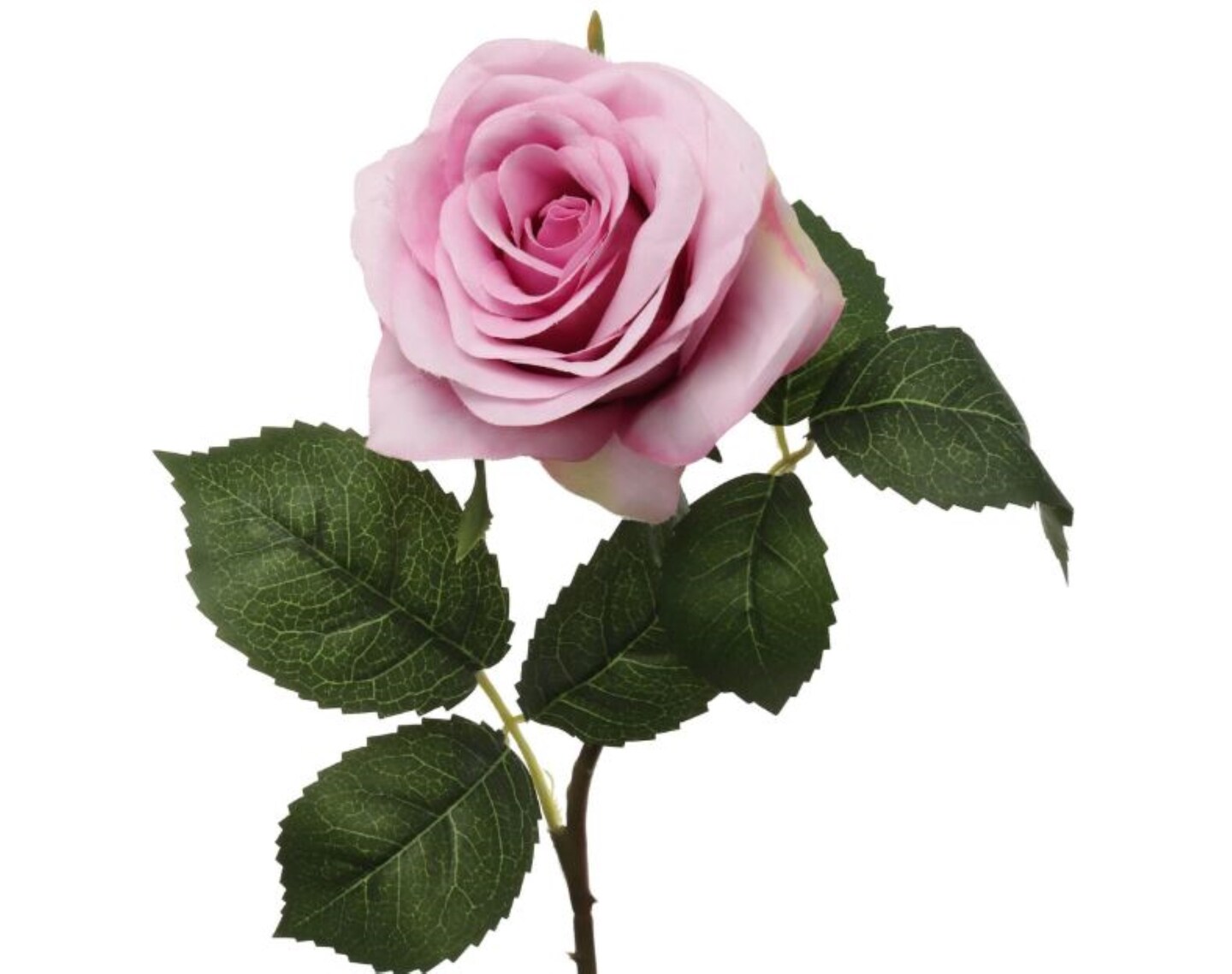 Lavender Delight: 20&#x22; Open Rose (4&#x22;DIA) - Exquisite Blooms for Elegant Decor and Charming Ambiance