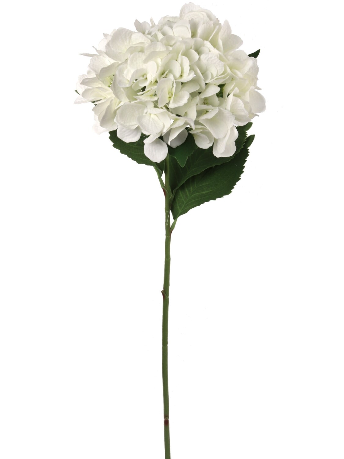 12-Pack: White Hydrangea Stem with Silk Leaves, 8&#x22; Wide by Floral Home&#xAE;