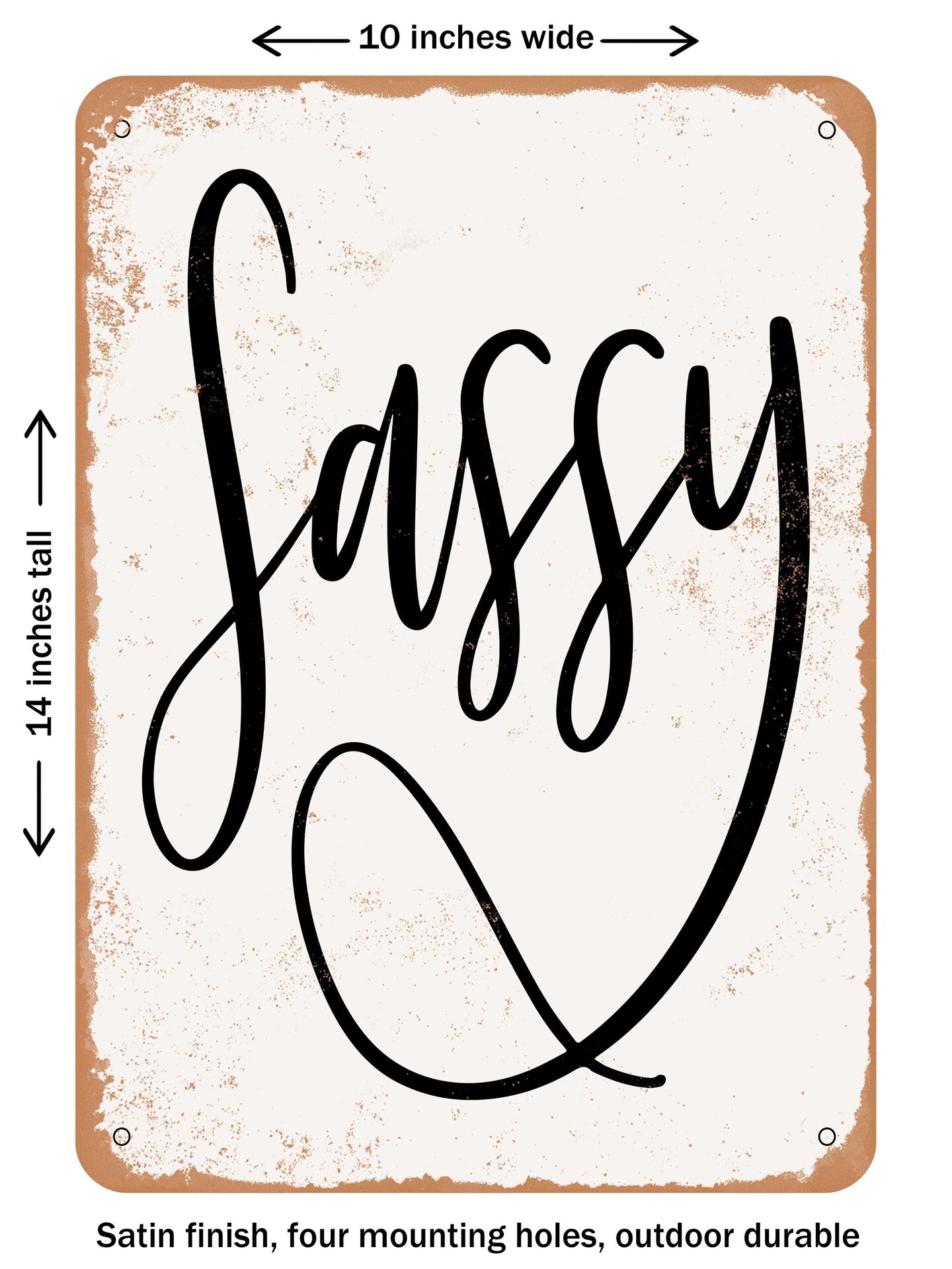 DECORATIVE METAL SIGN - Sassy - Vintage Rusty Look