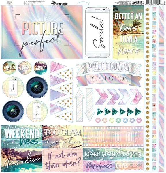 Reminisce Picture Perfect Stickers