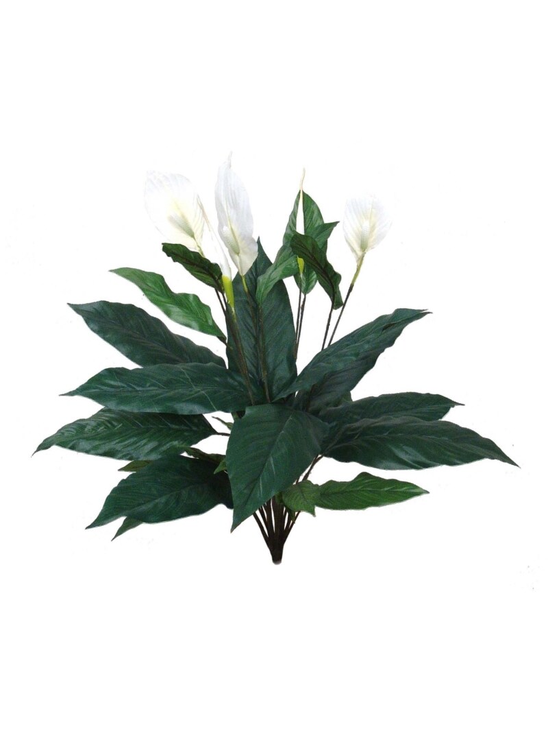 6-Pack: White Spathiphyllum Plant with 27 Realistic Sprays by Floral Home&#xAE;